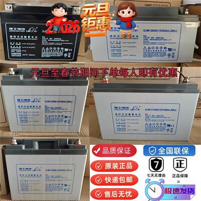12V40AH24AH38AH65AH100AH33AH直流屏/机房UPS应急电源