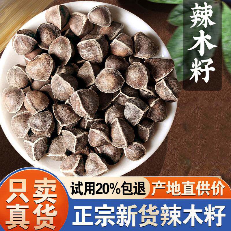 辣木籽官方旗舰店500g大果正品中药材辣木子黑功效与作用非果