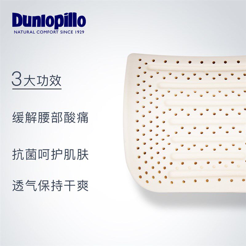DUNLOPILLO邓禄普技术天然乳胶护腰靠垫办公室座椅汽车腰枕腰垫