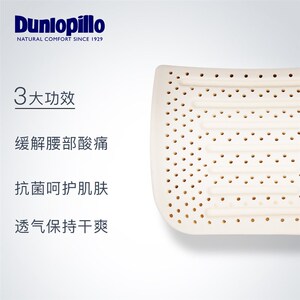 DUNLOPILLO邓禄普技术天然乳胶护腰靠垫办公室座椅汽车腰枕腰垫