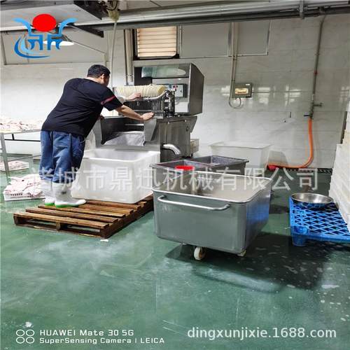 断筋机 连续式牛腱断筋嫩化机 嫩肉机 304不锈钢肉类断筋机