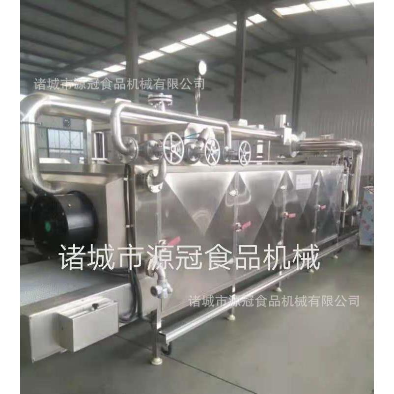 连续式网带烘干机 果蔬大虾烘干机设备 中草药烘干流水线