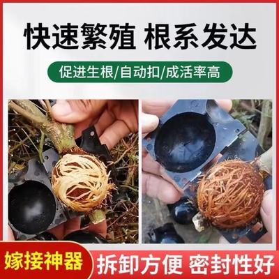 植物高压盒扦插嫁接生根器育苗果树树木高空压枝压条无性繁殖球盒