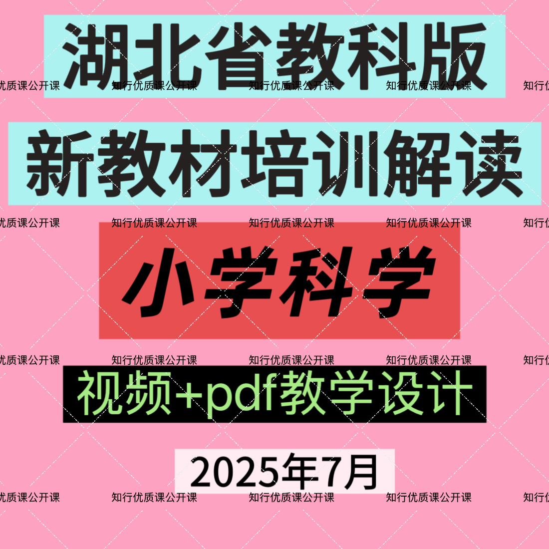 2025年湖北省小学科学教科版新教材培训解读优质课公开课视频教案