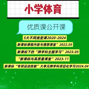 小学体育新课标优质课公开课跨学科课堂教学讲座视频人万千