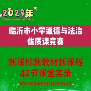 2023年临沂市小学道德与法治优质课比赛公开课讲课教学视频