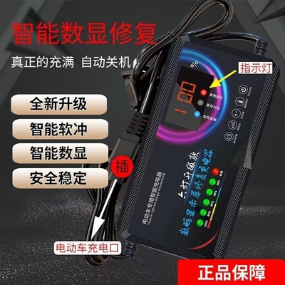 蓄电池电瓶车充电器48V2A60V36V72V3A电动车智能滑板车代驾车通用