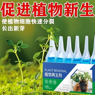 营养液植物通用型花卉绿植通用型盆栽土肥专用花卉肥料通用型绿植