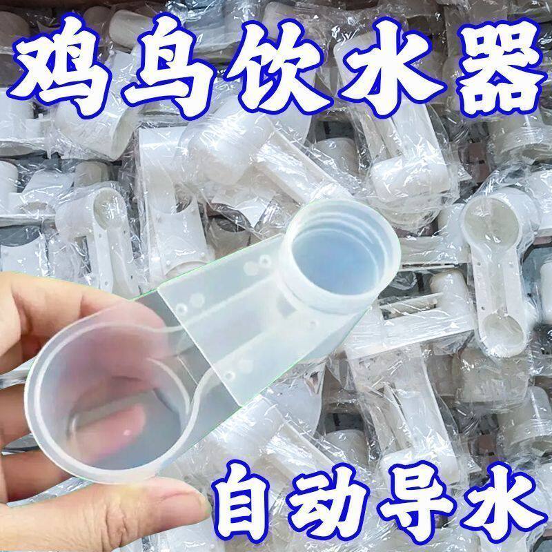 鸽子用品用具水壶双口导水器信鸽