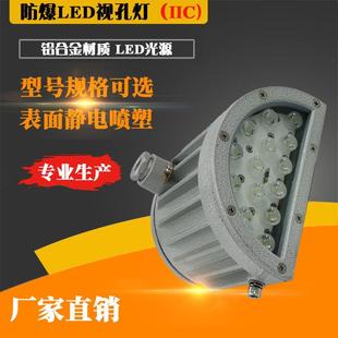 LED防爆视孔灯3W10W20W探照灯24V36V220V反应釜视镜大功率30W半圆