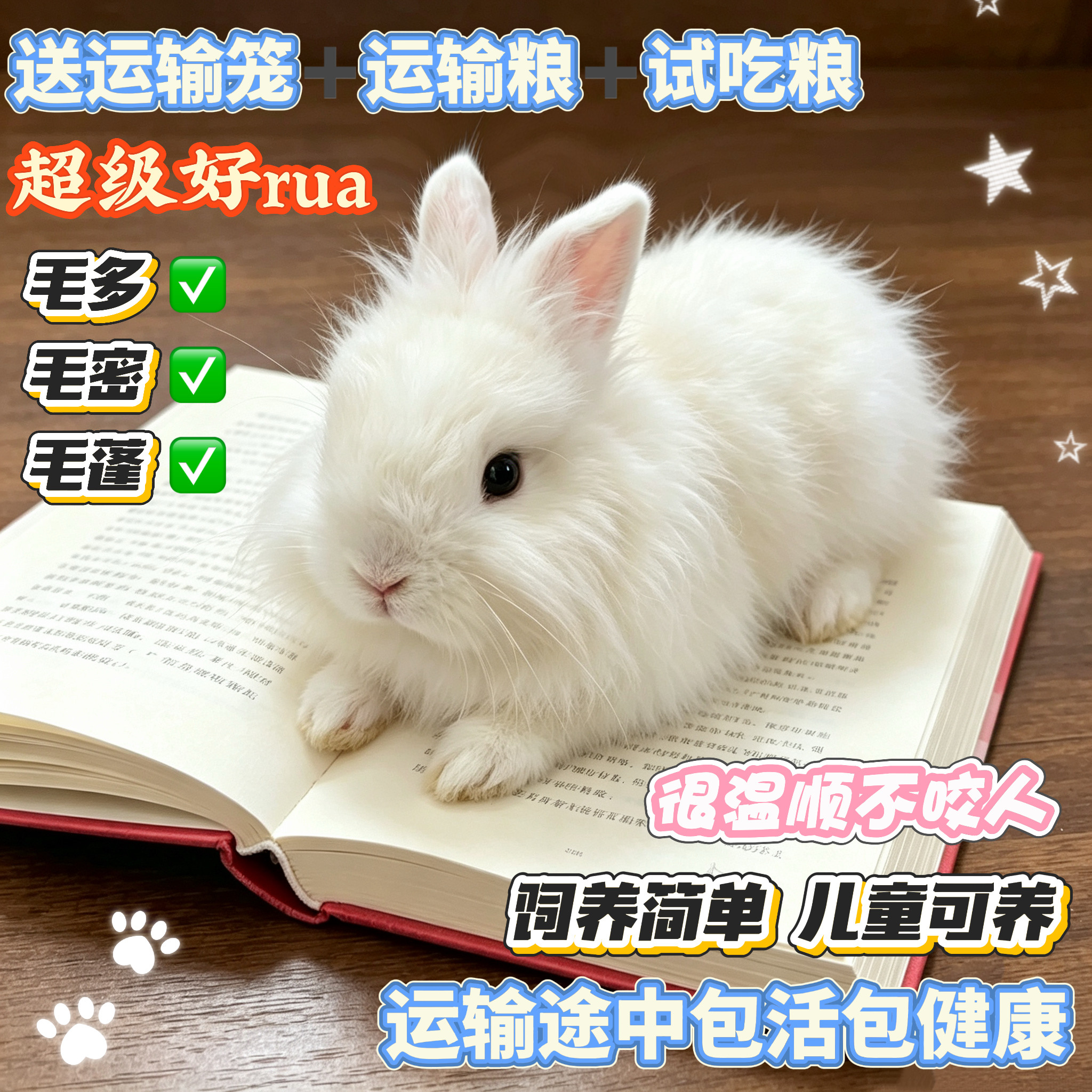 猫猫兔宠物兔幼崽长不大毛茸茸小兔温顺好饲养运输途中包活包健康