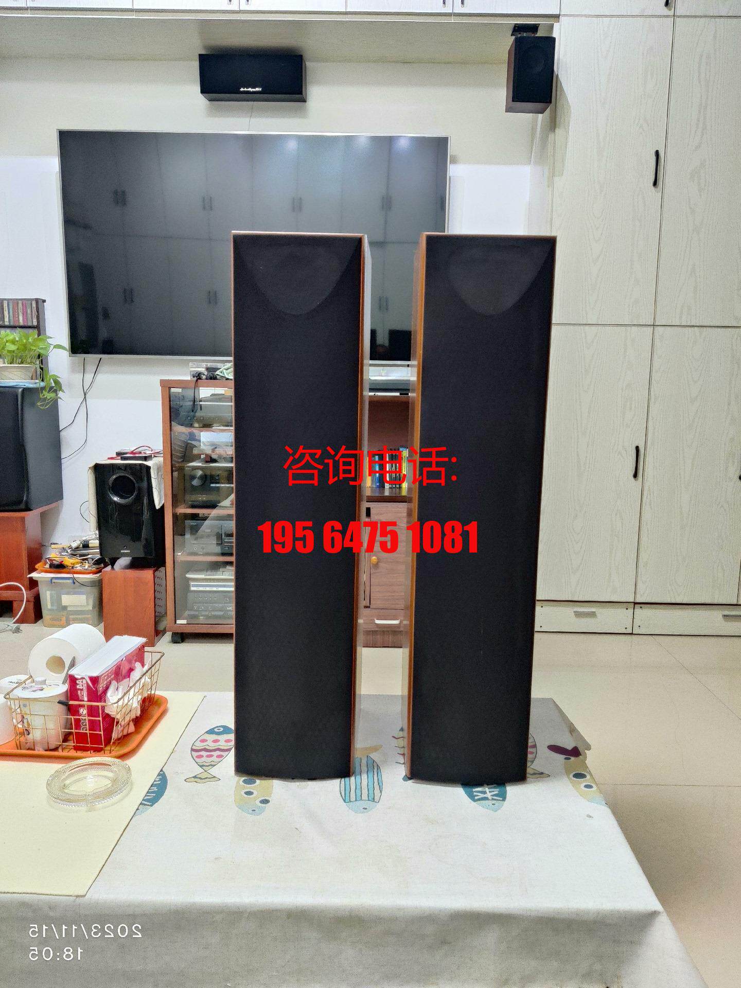 e670尊宝音箱,妹夫出国购回的丹麦原装进口尊宝e全系列供应/议价