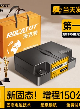 爱玛48V电动车锂电池小乐购T901踏板单车专用电瓶雅迪新日台铃