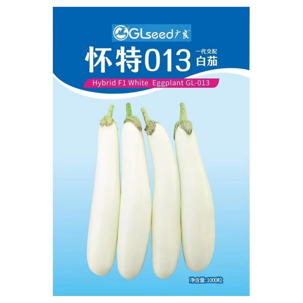 怀特013白茄子种长籽冬春