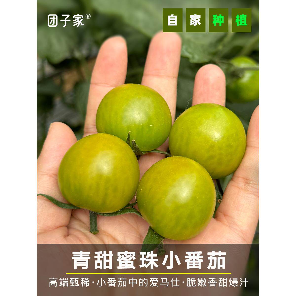 春天再见·的果园翡翠青甜