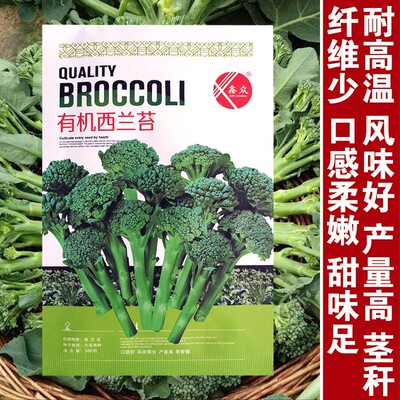 西兰苔种子籽花苗芥蓝菜四