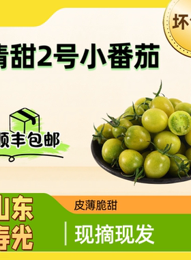 青甜2号小番茄柿子圣女果寿光清甜二号绿色绿宝石西红柿新鲜水果