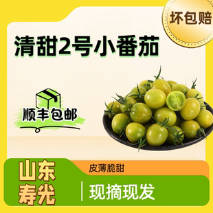 青甜2号小番茄柿子圣女果寿光清甜二号绿色绿宝石西红柿新鲜水果
