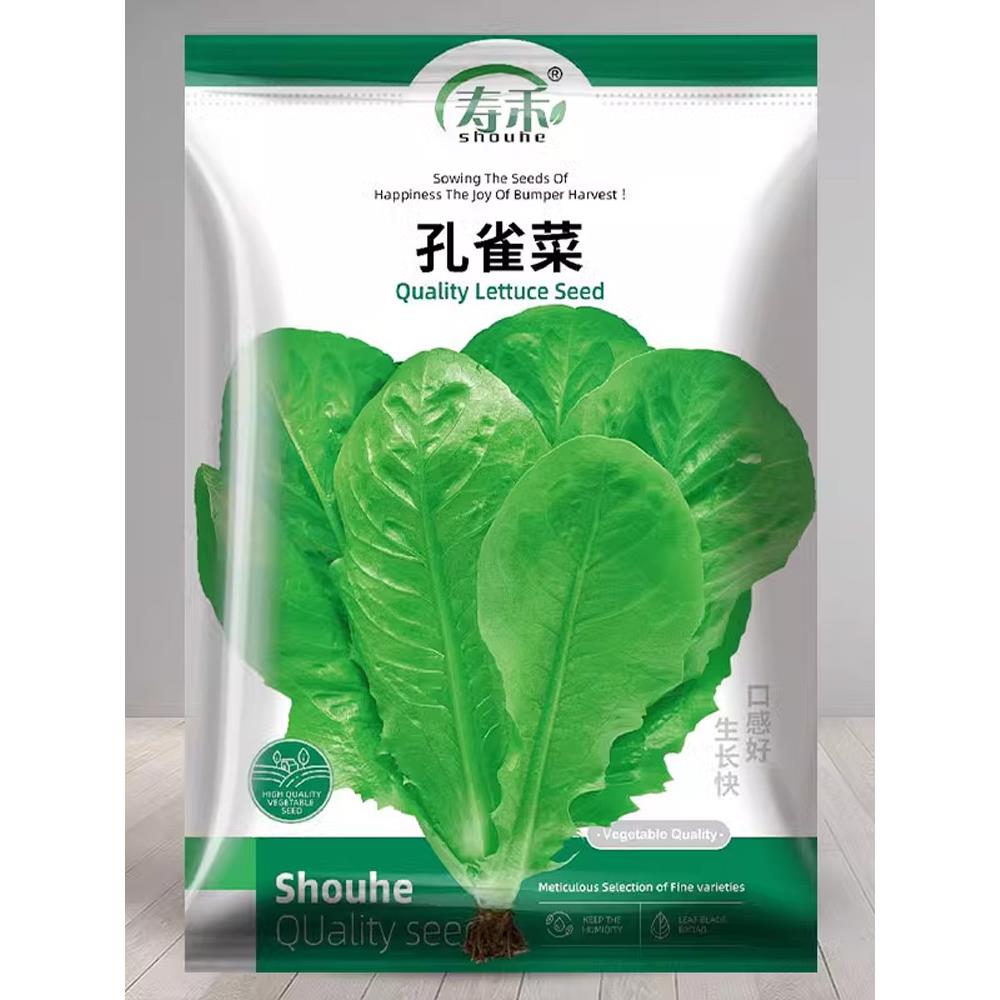 孔雀菜种子沙拉生籽苗秧四