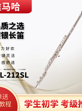 日本进口长笛优选工艺白铜长笛镀银16孔初学17孔专业演奏c调长笛