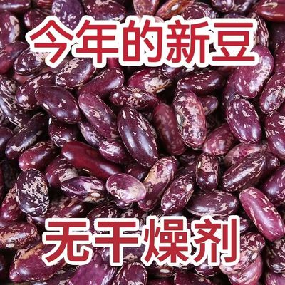 紫花芸豆东北大碴子粥花豆酸菜红豆干货四季豆新鲜东北大芸豆批发