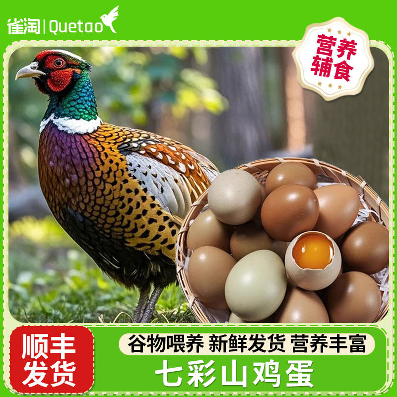 雀淘山鸡蛋 新鲜山鸡蛋农家慢养谷物喂养孕妇儿童宝宝营养辅食