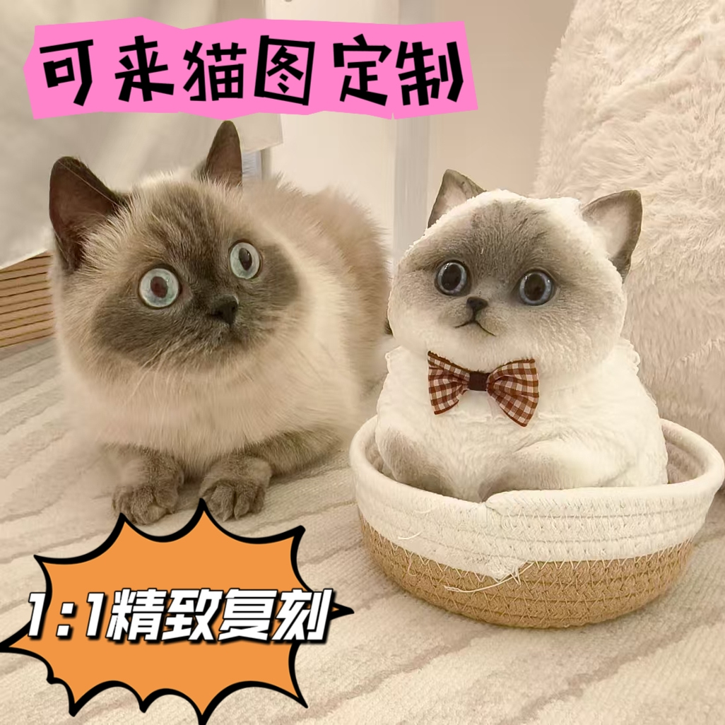 纪念永久的陪伴手工定制仿真猫咪