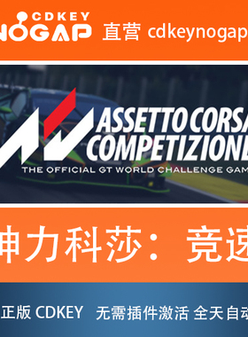 神力科莎：竞速 Assetto Corsa Competizione Steam国区激活码