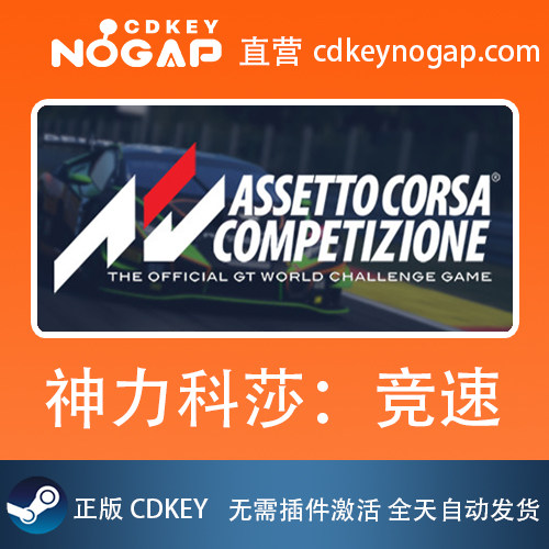 神力科莎：竞速 Assetto Corsa Competizione Steam国区激活码