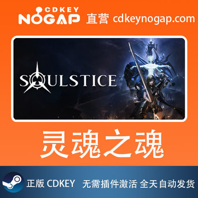 灵魂之魂 Soulstice Steam全球正版激活码CDKey 24H 自动秒发