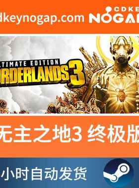 PC中文正版steam游戏 无主之地3 标准版终极版Borderlands 3