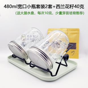 480ml宽口小容量瓶西兰花芽苗菜水培加厚无铅玻璃304全不锈钢网盖