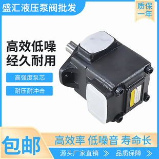 凯嘉KCL型定量叶片泵VQ15 VQ25 VQ35 VQ45 DVQ20 DVQ25液压油泵