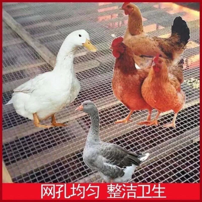 羊床钢丝网鸡鸭鹅漏粪铁网养羊养猪用的钢钢网加粗超硬羊圈漏粪网