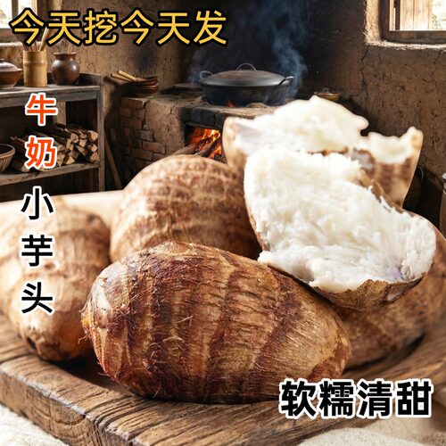 四川农家现挖现发新鲜小芋头