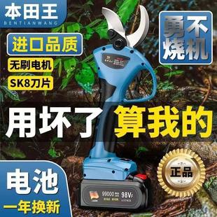 园艺园林粗枝剪桑树树枝锂电剪刀 进口电动修枝剪果树剪充电式