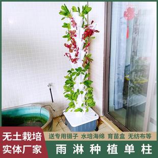 家庭花架阳台种菜学校无土栽培简约有机蔬菜瓜果自动水培耕种植槽