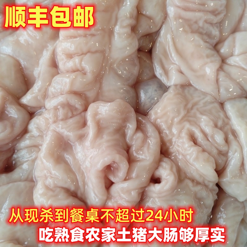 新鲜现杀农家大土猪猪大肠猪肠子