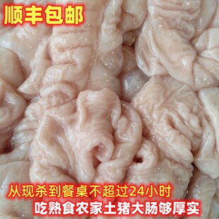 顺丰新鲜现杀农家大土猪猪大肠5斤肥肠厚实吃熟食猪肠子爆炒红烧