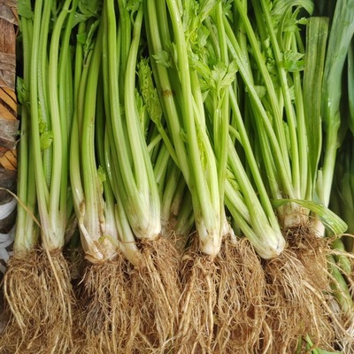 农家新鲜芹菜小香蒜苗混合5斤