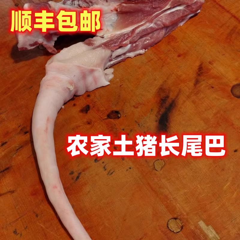 顺丰包邮土猪尾巴新鲜广东韶关农家现杀现发吃熟食生猪长尾巴一条