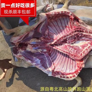 顺丰包邮新鲜现杀土山羊肉农家放养吃草黑山羊肉羊肚5斤刷火锅肉