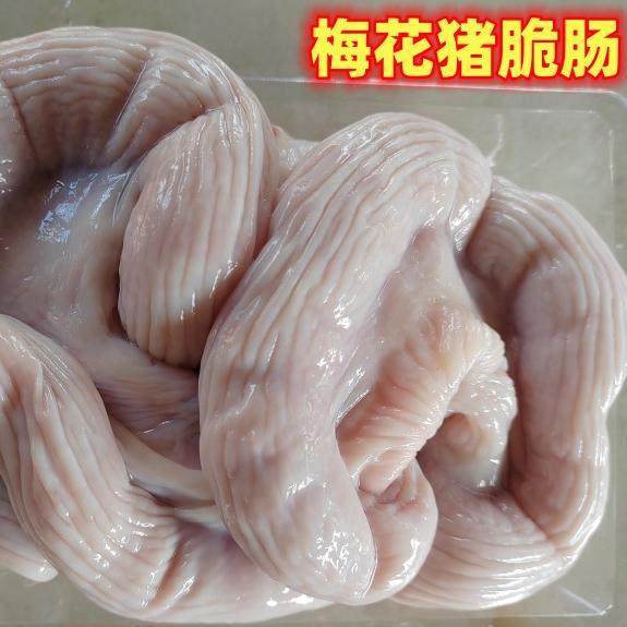 跑山梅花猪竹肠新鲜脆肠2斤放养