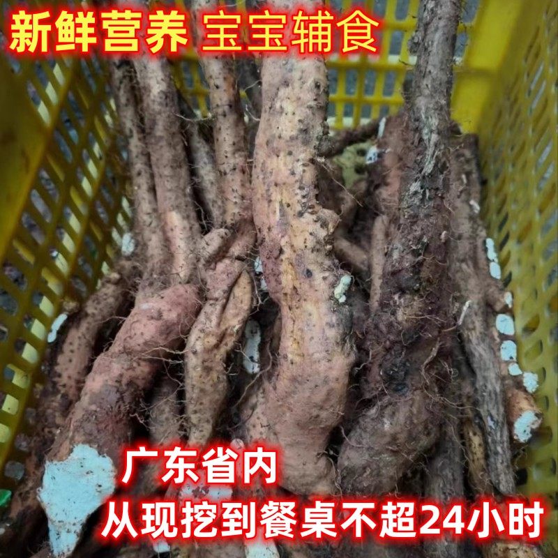 新鲜现挖野生淮山山药5斤煲汤