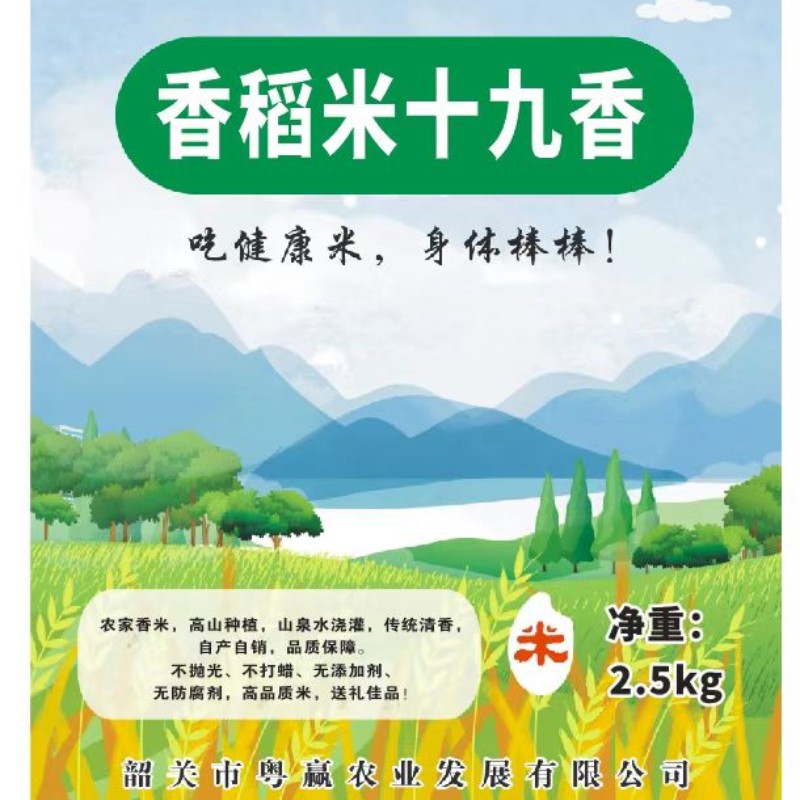 晚稻香米10斤大米煲粥煮饭清香