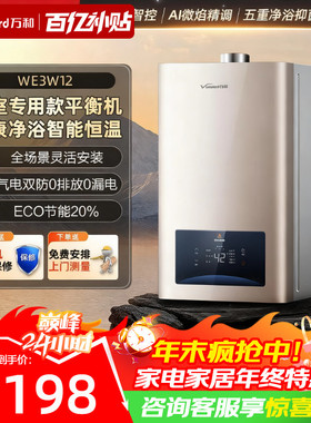 万和平衡式燃气热水器家用天然气液化气12升13升强排式恒温WE3