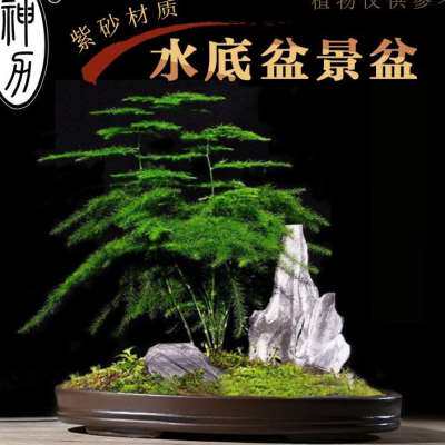 神力紫砂吸水石假山水仙花碗莲长方椭圆形紫砂接水托盘盆景盆花盆