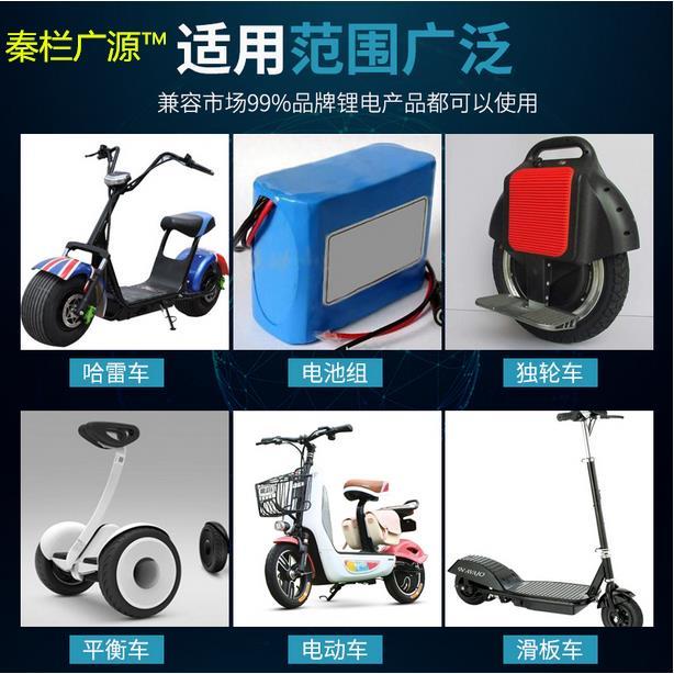 16串48伏V磷酸铁电动车瓶锂电池充电器58.4V2A3A4A6A8A10安快充铝