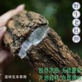 四川野生无硫老杜仲500g中药材泡酒泡水广东靓汤材料