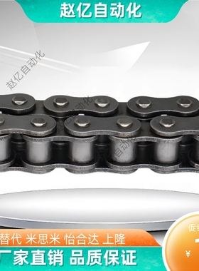 VMK01 02 03 21 22-60链条VMG01/02/03/21-50-4 6 10 20 30 40-A